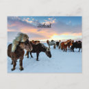 Zoek naar ijslandse paarden briefkaarten Sneeuw