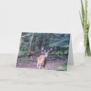 Recherche de whitetail vœux cartes Deer