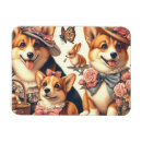Recherche de gallois magnets Chiot