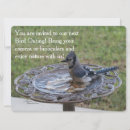 Recherche de nature 16x22 invitations Oiseaux