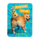 Zoek naar grappige honden magneten Puppy