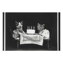 Zoek naar grappige kattenfoto posters Schattige kittens
