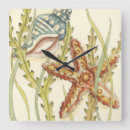 Recherche de étoiles horloges Étoile de mer