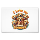 Recherche de chiot golden retriever posters Chiens
