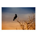 Recherche de arbre nu posters Ciel