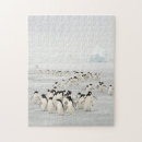 Recherche de pingouins puzzles Hiver