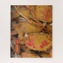 Recherche de crabe puzzles Vie marine