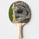 Recherche de hibou raquettes ping pong Faune