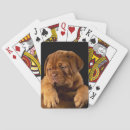 Recherche de grand chien jeux de cartes Animal de compagnie
