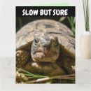 Recherche de retardé vœux cartes Tortue