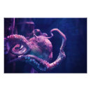 Zoek naar diepzee posters Octopus