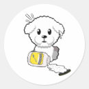 Recherche de bichon autocollants Caniche
