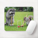 Recherche de ratons laveurs tapis souris Faune