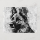 Recherche de chien de berger cartes postales Portrait