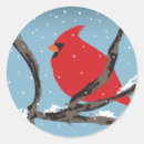 Recherche de cardinaux autocollants Nature