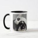 Recherche de oreilles de lapin tasses Blanc