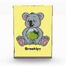 Recherche de koala Australie
