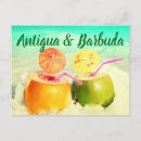 Recherche de coco cartes postales Vacances