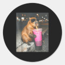 Recherche de satirique autocollants Drôle