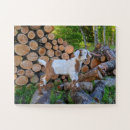 Zoek naar goat puzzels Baby