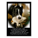 Recherche de poésie chien Animal