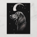 Zoek naar worst briefkaarten Dachshund