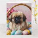 Zoek naar pekinese kaarten Huisdier