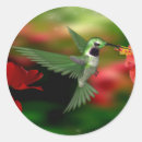 Recherche de colibri vert autocollants Rouge