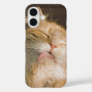 Recherche de maine coon iphone coques Chats