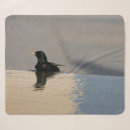 Zoek naar vogels dekens Vogelpest