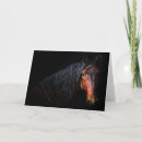 Recherche de portrait de cheval vœux cartes Photographie