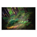 Recherche de éden posters Fleurs