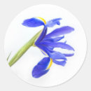 Recherche de iris bleu autocollants Violet