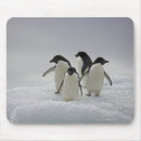 Recherche de intégral tapis souris Pingouins