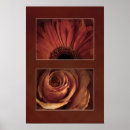 Recherche de fleurs stylisées posters Rose