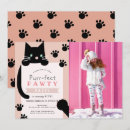Recherche de pattes noires invitations Chaton