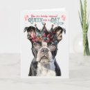 Zoek naar boston terriers kaarten For her