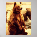 Recherche de ours gris art Nature
