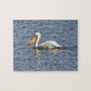 Recherche de pelican puzzles Animaux