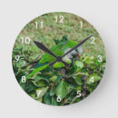 Recherche de perroquet vert horloges Animal