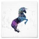 Recherche de élevage art Cheval