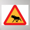 Zoek naar grappige beledigingen posters Cool