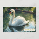 Zoek naar zwanen briefkaarten Souvenir