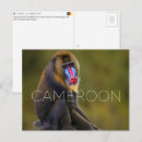 Recherche de cameroun posters Voyage