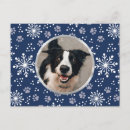 Recherche de compagnie cartes postales Bleu