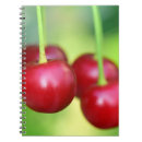 Zoek naar vegan notitieboeken Voedsel