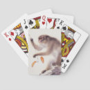 Recherche de singes jeux de cartes Macaque