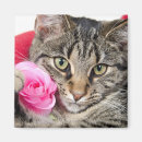 Recherche de minou refrigérateur magnets Fleur