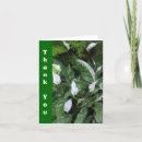 Recherche de paix monde vœux cartes Fleurs
