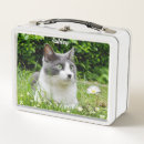 Zoek naar afbeelding lunchboxen Bloemen